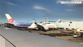 華航(陳弋攝影)