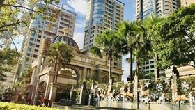 女力發威！天龍成天鳳，北市女性購屋力大成長（圖／中信房屋）