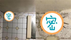 喇牙,蟑螂,手掌,浴室(翻攝自 爆怨公社)