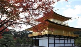 日本京都受到武漢肺炎疫情影響，觀光客銳減。圖為京都金閣寺。（中央社檔案照片）