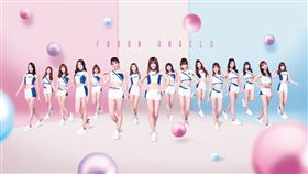 ▲Fubon Angels再添3位新生力軍（圖／富邦悍將提供）