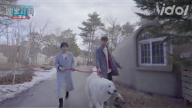 甜蜜計劃福島(業配勿用)