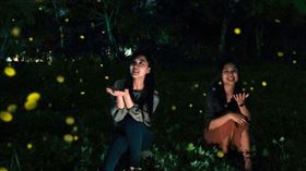 ▲理想大地渡假飯店；螢火蟲（圖／理想大地渡假飯店提供）
