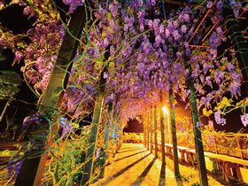 名家專用／台灣旅行趣（勿用）