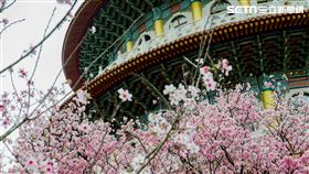 天元宮(記者陳弋攝影)