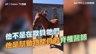 動物脊椎的救星　美國動物整骨治療師