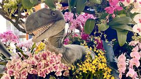 台南左鎮化石園區打造古生物花園2020台灣國際蘭展因武漢肺炎疫情決定延辦，部分花材移至左鎮化石園區展出，園區以「古生物的花園」為主題策展，以蘭花搭配恐龍與古生物的畫面相當特別。（台南市文化局提供）中央社記者楊思瑞台南傳真  109年3月11日