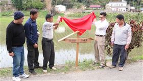 響應棲地保育　企業契作通霄石虎米苗栗縣通霄鎮楓樹社區營造友善棲地耕種「石虎米」，今年獲智邦科技響應支持契作，總經理李志強（右2）11日到場揭牌，並與農民一起下田體驗補秧。中央社記者管瑞平攝　109年3月11日