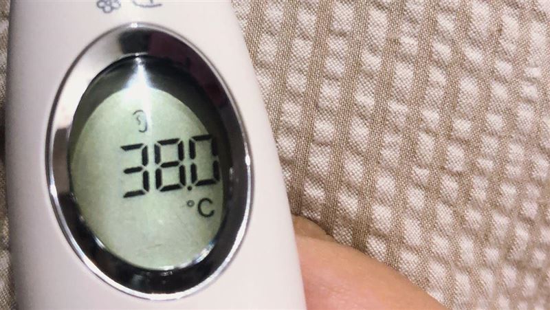 通緝犯落網狂咳又發燒　檢座：緩入獄