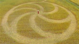 神秘麥田圈在台中　上帝視角奇景曝光