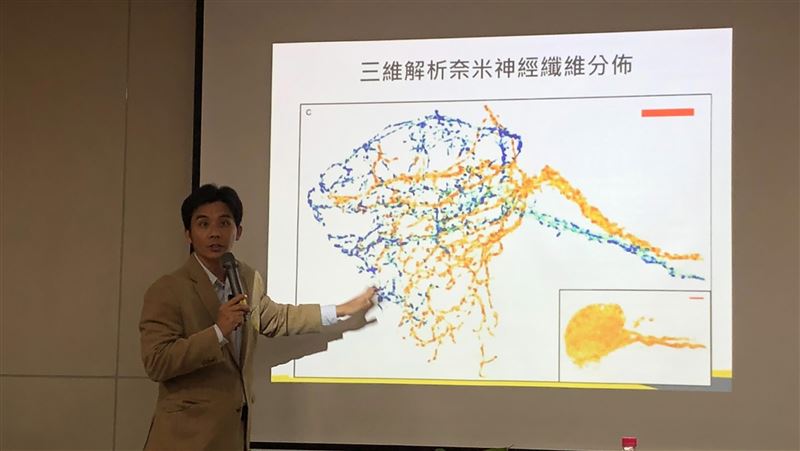 台清交攜手解開果蠅腦秘密