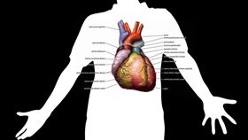 三民書局＋pixabay