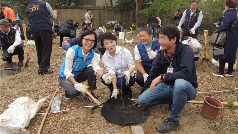 找回原始大肚山林相　中市府復育樹苗