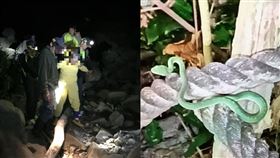 青竹絲,登山,屏東,里龍山