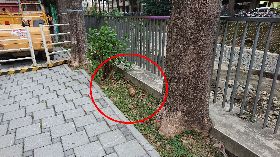 台中惠來溪挖出未爆彈　軍方帶回處理