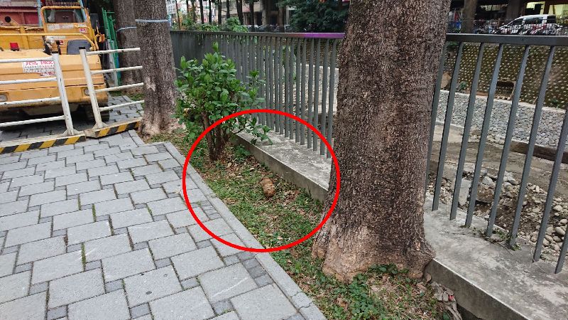 台中惠來溪挖出未爆彈　軍方帶回處理