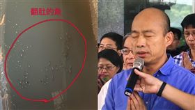 愛河,幸福川,支流,死魚,垃圾,高雄