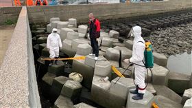 豬屍現蹤竹南龍鳳漁港　海巡防疫消毒海巡署中部分署第三岸巡隊13日發布消息指出，岸巡人員12日在苗栗縣竹南鎮龍鳳漁港消波塊發現豬屍，立即啟動防疫機制，封鎖現場並通報動防所派員到場處理，經消毒後將豬屍帶回進行檢體採樣。（海巡署中部分署第三岸巡隊提供）中央社記者管瑞平傳真　109年3月13日