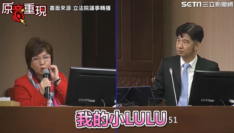 蔡正元暗諷不專業？Lulu藍委致歉