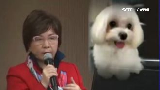 藍委質詢時間歪樓　變成告白毛孩大會