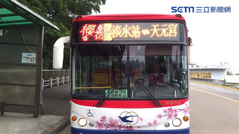 淡水天元宮賞櫻喊卡　接駁公車將停駛