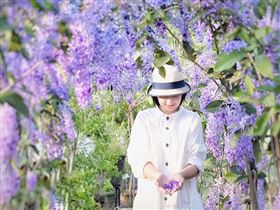 名家專用／台灣旅行趣（勿用）