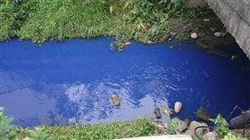 廢水,苗栗,水圳,竹南,國泰路,真如路