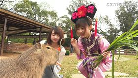 《哈囉！我是格格》　詩雅挑戰大明星