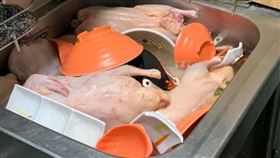 （圖／翻攝自新竹大小事）鴨肉,退冰,碗筷