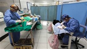 防疫所人員與獸醫師治療烏坵犬隻傷口金門縣動植物防疫所人員和獸醫師前往烏坵，對島上5隻犬貓進行絕育手術，並為所有犬貓施打疫苗，同時也治療犬隻頸部傷口，進行清創縫合。（金門縣動植物防疫所提供）中央社記者黃慧敏傳真　109年3月14日