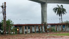 台東校園黑板樹攔腰砍　校方：兼顧人命