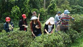 追逐藍星恆春半島生態遊（2）由海漂電台發起的「環半島淨灘活動」，去年舉辦廣受好評，今年也推出「追逐藍星」計畫，安排10週在墾丁10個不同的海灘淨灘，也推出週週不同的生態和社區旅遊行程，有紅龜粿DIY、採茶體驗等。（恆春半島慢慢遊平台提供）中央社記者郭芷瑄傳真　109年3月14日