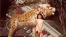 承載基隆人回憶　中正公園老照片吸睛基隆市政府打算改造中正公園內遊戲場，基隆市「自立書店」特別提供市府一張老照片，一名男孩趴在豹雕塑上，另有一名女孩倚靠著豹，後方還有溜滑梯滑道，懷舊感十足。（基隆市自立書店提供）中央社記者王朝鈺傳真　109年3月14日