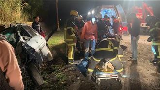 2頭牛橫越馬路　女駕駛衝撞命危送醫