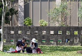 陽光露臉　民眾外出野餐