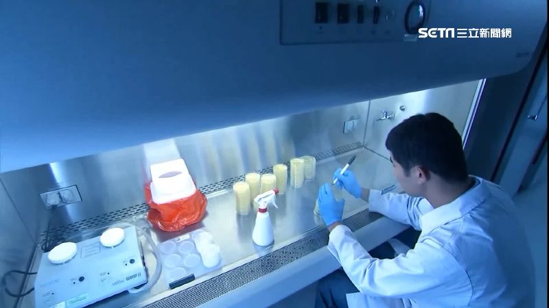 肺炎疫苗實驗　中國已展開人體注射