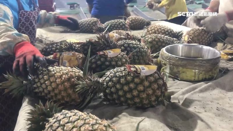 電商助農民　「鳳梨」銷量逆勢漲
