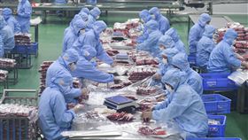 疫情中復工  中國力求兼顧生產與防疫因為武漢肺炎疫情，中國在經濟壓力下，多地採取「分區分級」的控管和復工原則，如何兼顧生產和防疫成為挑戰。圖為湖南食品公司員工採取防疫措施後，入廠包裝產品。（中新社提供）中央社  109年2月16日