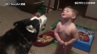 萌娃模仿哈士奇！　一來一往笑翻網友