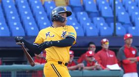 陳子豪敲出全壘打。（圖／中信兄弟提供）