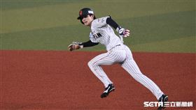 12強日本隊周東佑京盜壘跑回分數。（圖／記者王怡翔攝影）