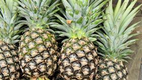 鳳梨 圖／Pixabay