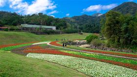 大溝溪生態治水園區，圓覺瀑布，內湖秘境（翻攝自台北市府網站）