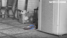 男童 監視器 彰化鹿港 人倫(圖/翻攝畫面)