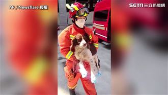 受傷不喊疼！搜救犬搶救旅館受困者