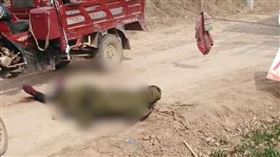 新冠,肺炎,封村,鋼絲繩,割喉,死亡（圖／翻攝自微博）