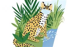 俄插畫家卡嘉繪戴口罩石虎 願台灣平安挺過疫情（圖／翻攝自駐俄羅斯代表處臉書）
