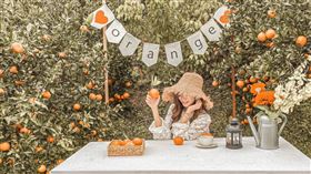 苗栗景點，橘子，橙香森林(翻攝自ig _ju._____）