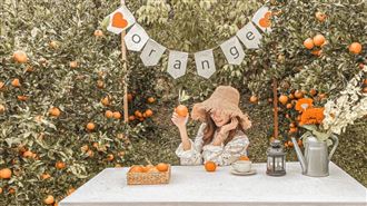 IG紅什麼／超美橘子園如走進童話裡