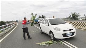 女騎士擦撞倒地昏迷  路人摘蕉葉擋車台東市16日發生汽機車擦撞事故，女騎士倒地昏迷後，一名路人停車摘下路旁香蕉葉，奮力揮舞，提醒汽機車減速，注意前方。（民眾提供）中央社記者盧太城台東傳真  109年3月17日